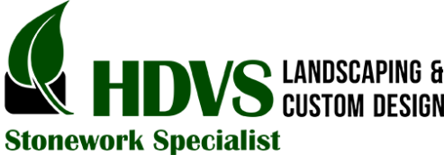 HDVS_logo.png01